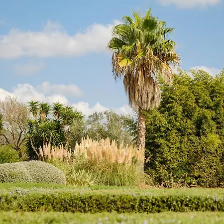 Holiday home Vinya Vella Calonge (Mallorca)