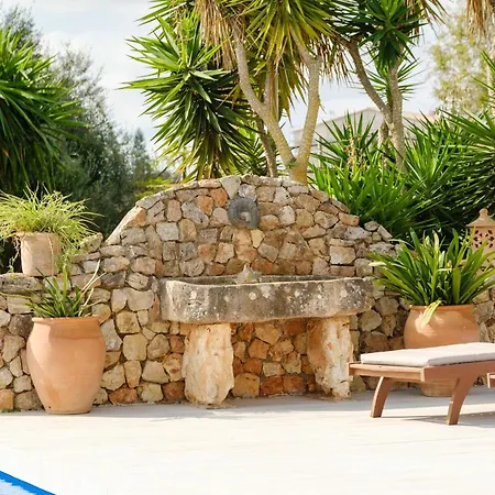 Vinya Vella Calonge (Mallorca)